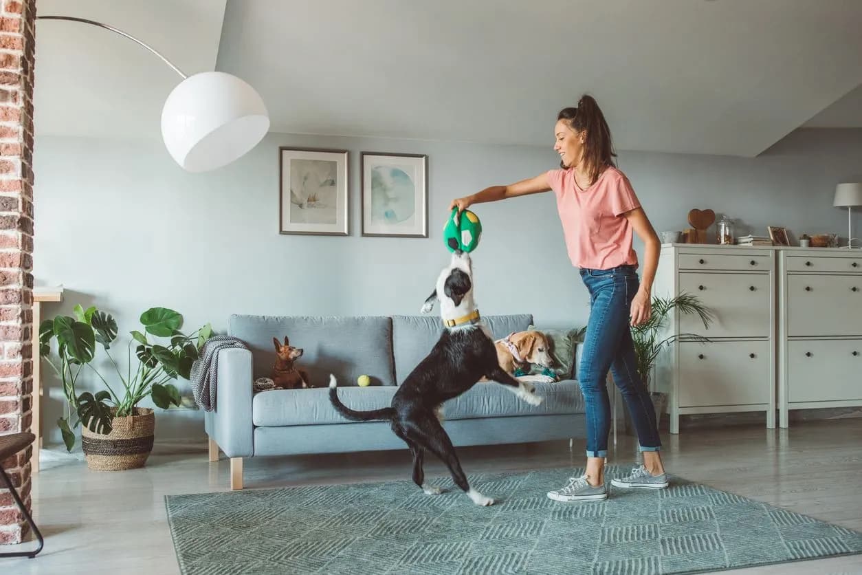 Home Vet Visits: Hilarious Pet Antics Unleashed!