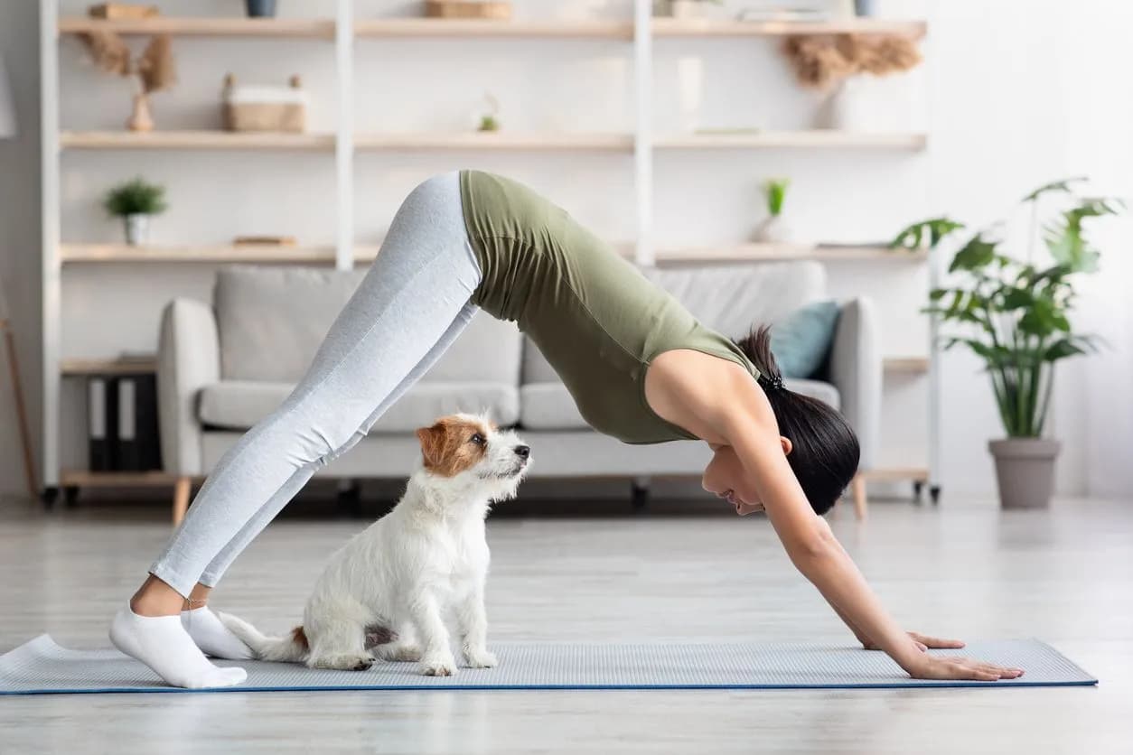 Dog Hip Dysplasia Surgery: Costs & Care Guide