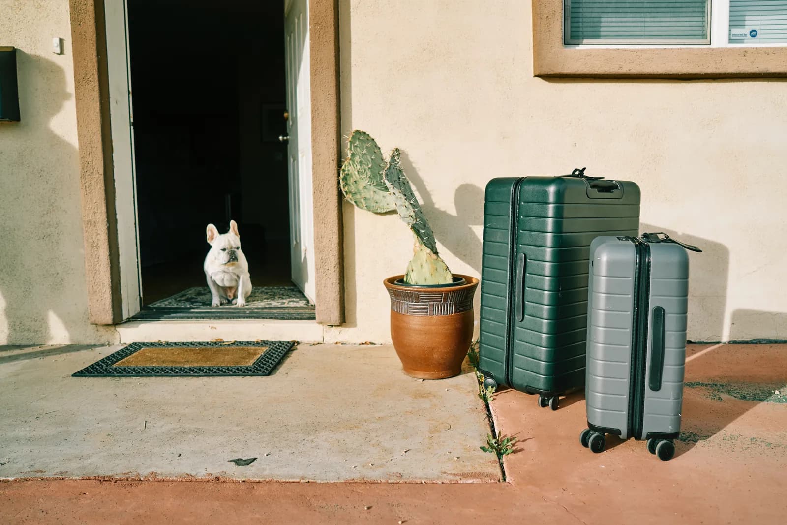 Get Pet Travel Ready