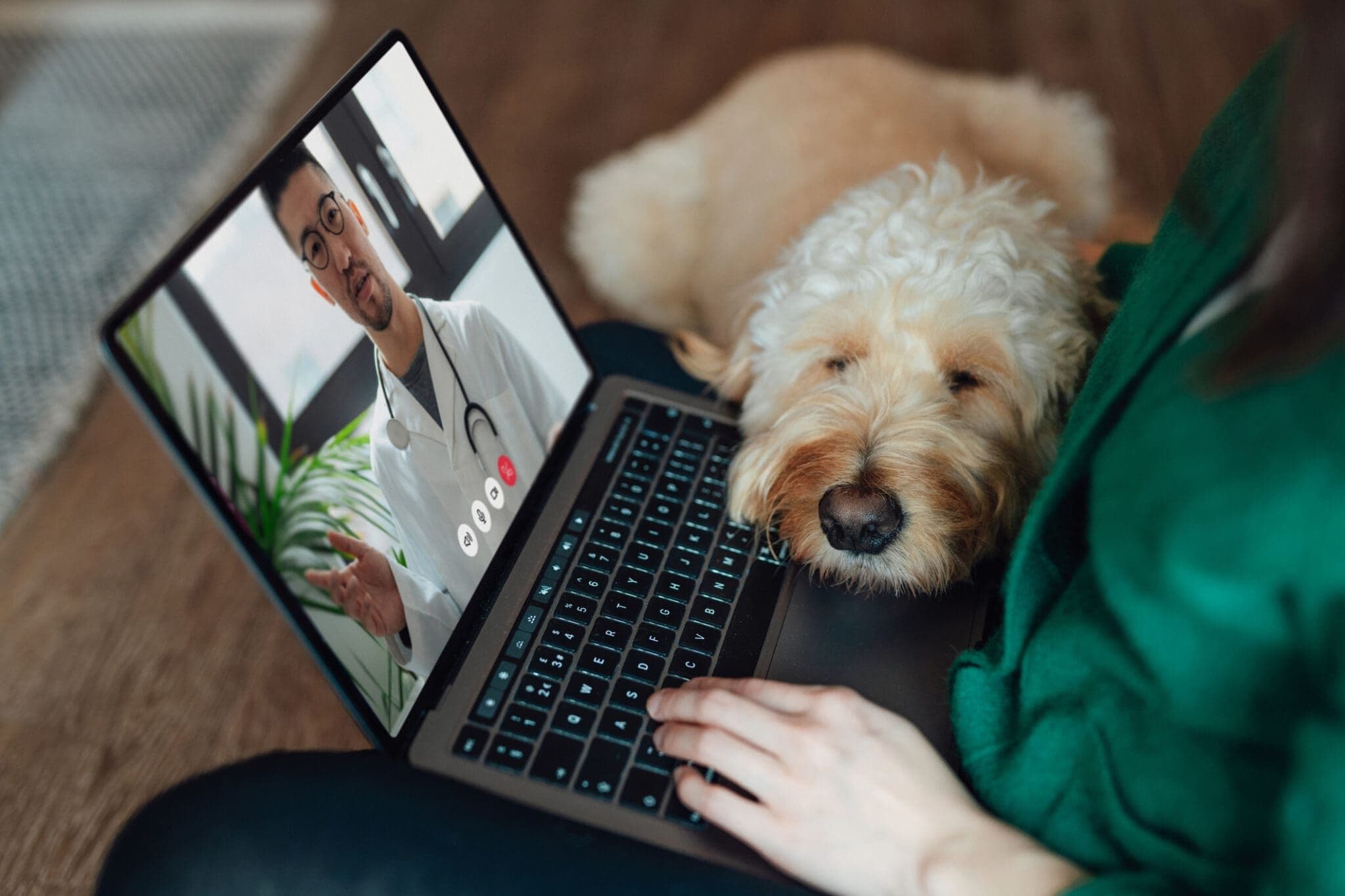 Vet Tele Consult