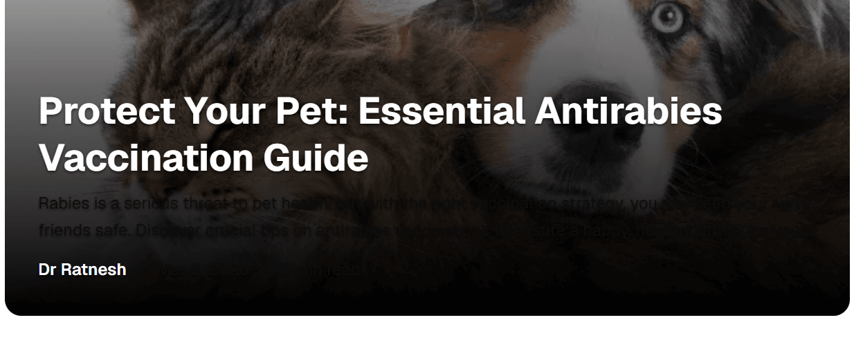 How to Know if Your Cat Is Sick