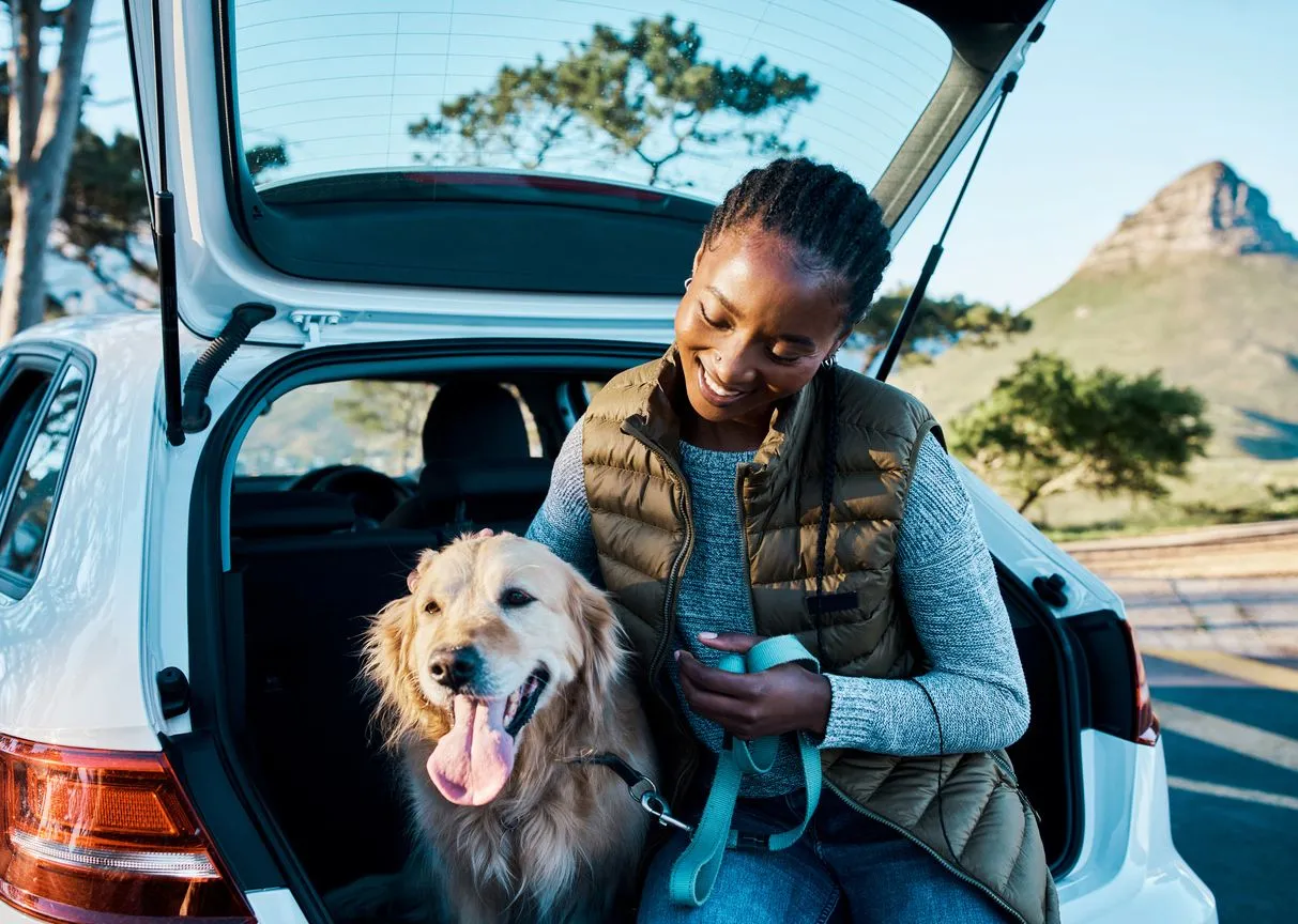 Curated visual reference: Domestic Pet Flight Travel Regulations Reference: Understanding Pet Travel Regulations